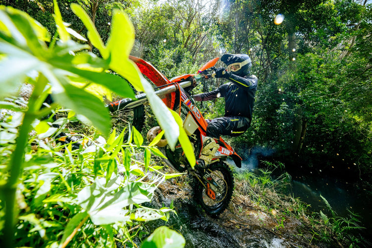 New Arrivals - Moto