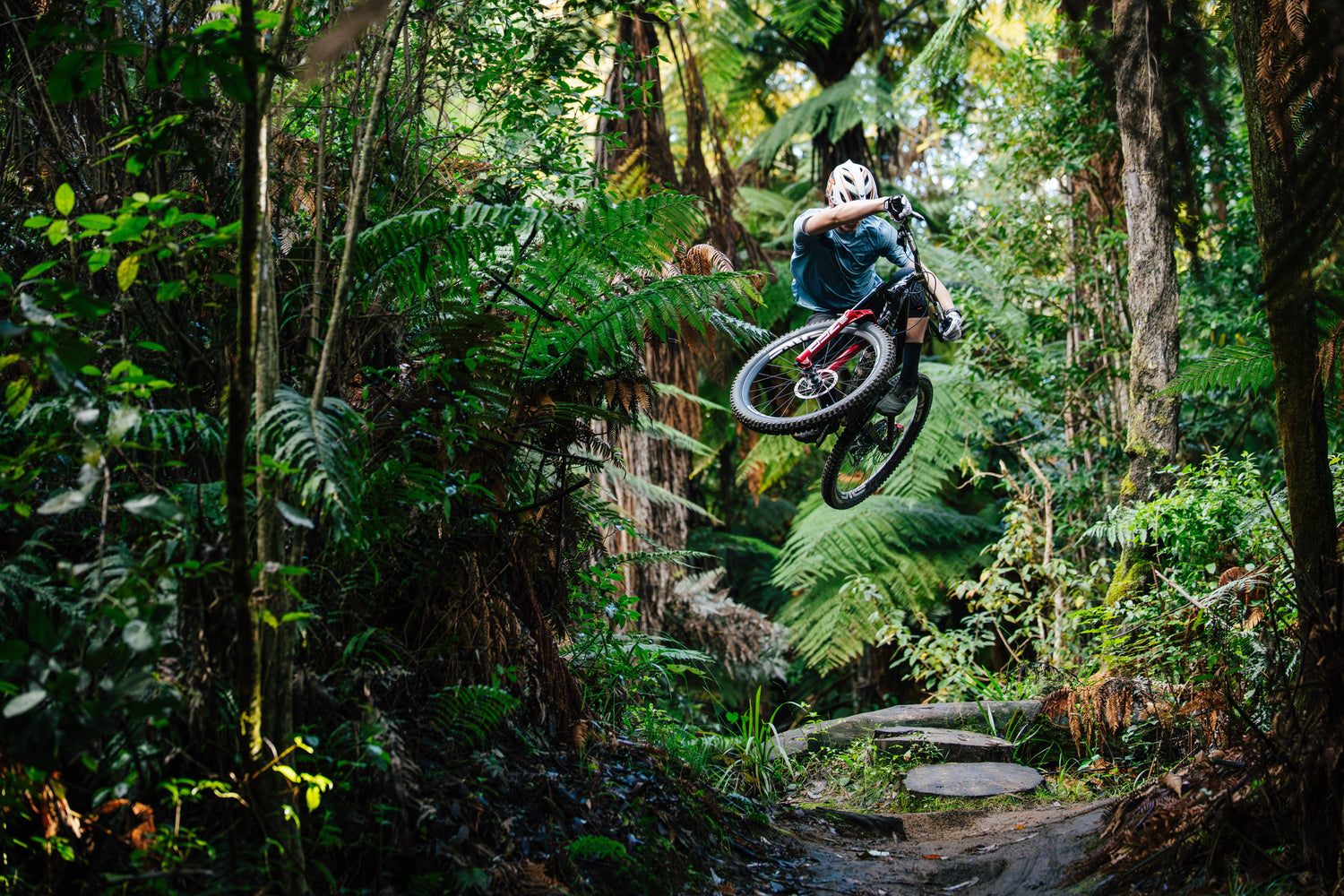 New Arrivals - Bike & Moto