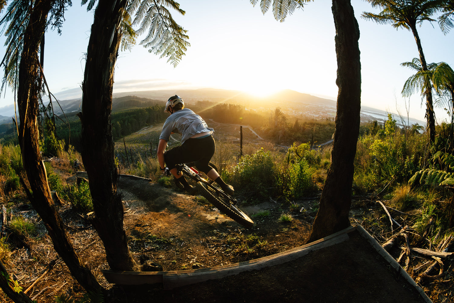 Bike - Trail