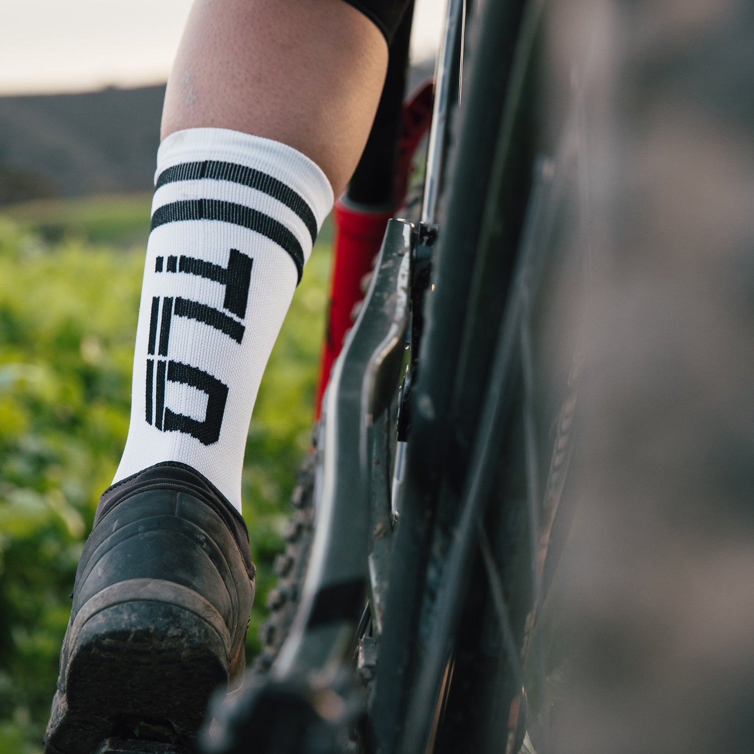 Bike Socks
