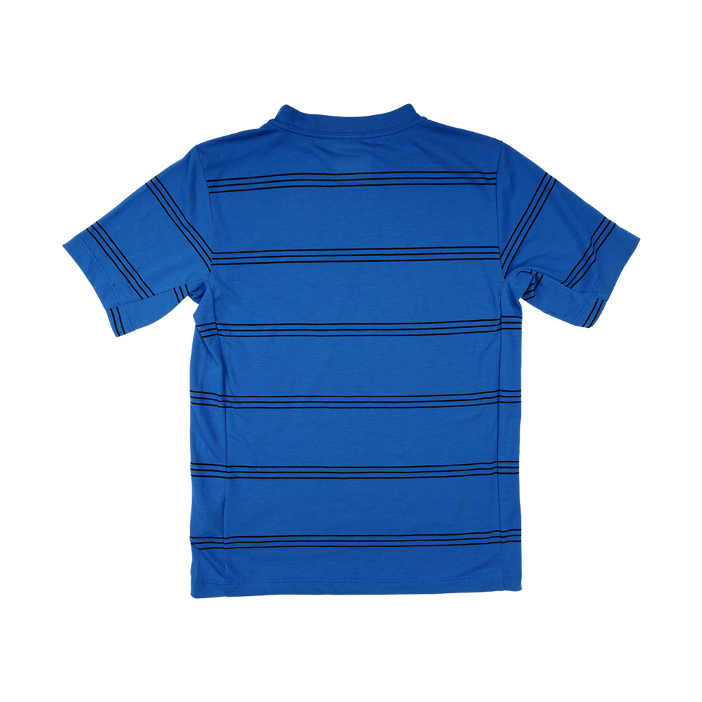 YOUTH SKYLINE RIDE SHORT SLEEVE TEE WASHED OUT COBALT